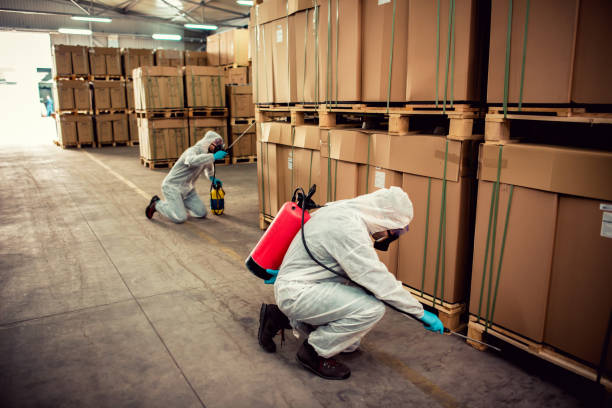 Best Cockroach Control Services  in Sudan, TX