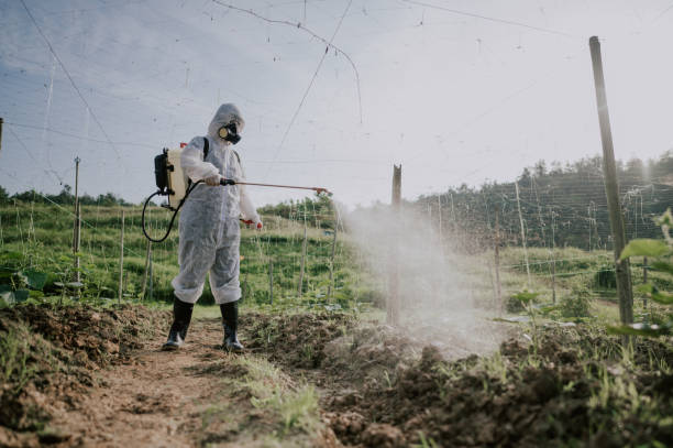 Best Pest Prevention Services  in Sudan, TX