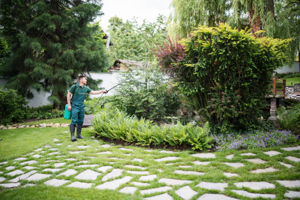 Best Pest Removal Services  in Sudan, TX