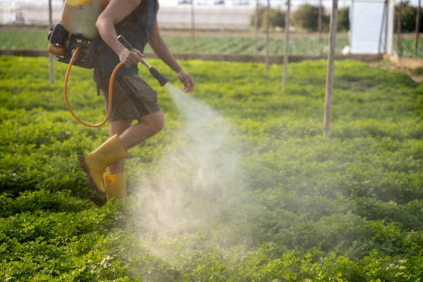 Insect Control in Sudan, TX