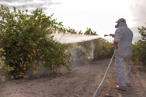  Sudan, TX Pest Control Pros