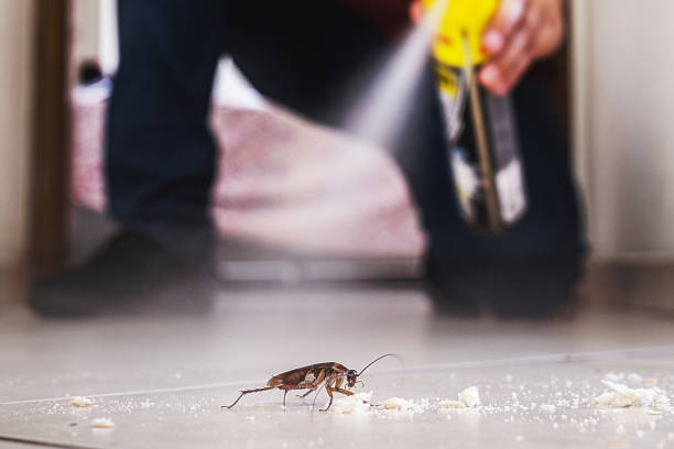 Best Pest Removal Services  in Sudan, TX